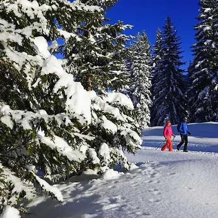 No 8, Wilder Kaiser *