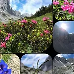 No 8, Wilder Kaiser *