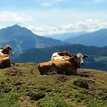 No 8, Wilder Kaiser * Reit im Winkl