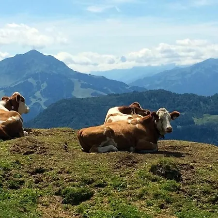 No 8, Wilder Kaiser * Reit im Winkl